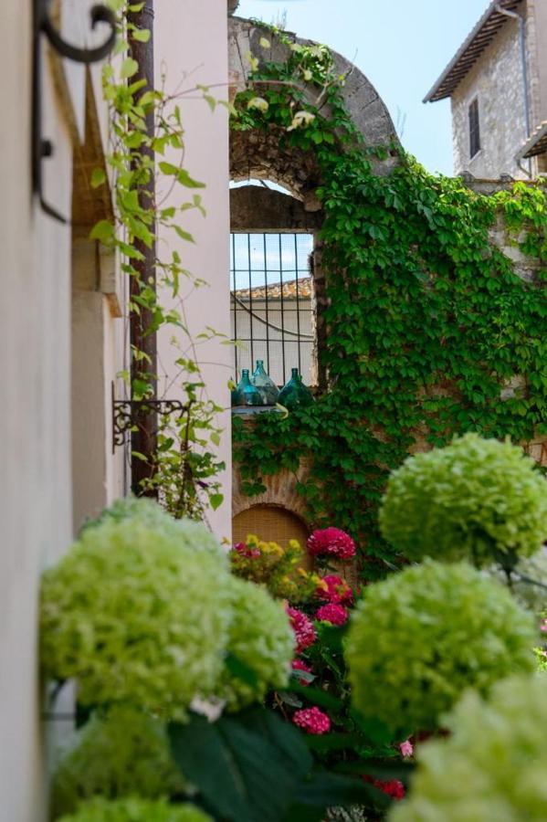 Bed and Breakfast Mimma Bed&Flavour Narni Exterior foto